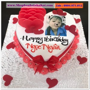 Bánh Sinh Nhật In Hình Ảnh - H306